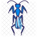 Praying Mantis Icon