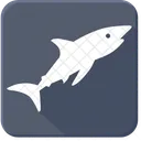 Predator Shark Sea Icon