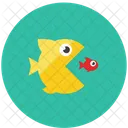 Predator Streamline Kameleon Icon