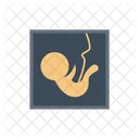 Pregnancy Report Medical Icon