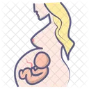 Pregnancy Pregnant Baby Icon