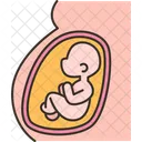 Pregnancy Embryo Fetus Icon