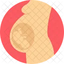 Pregnancy Obstetrics Pragnant Icon