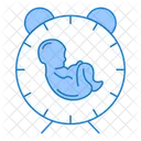 Pregnancy Time Delivery Time Pregnancy Icon