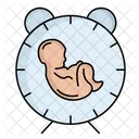 Pregnancy Time  Icon