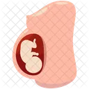 Pregnant Baby Icon