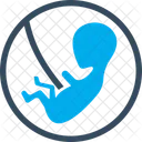 Pregnant belly  Icon