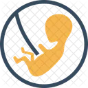 Pregnant belly  Icon