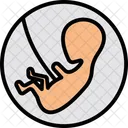 Pregnant belly  アイコン
