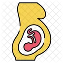 Pregnant Lady Pregnant Woman Pregnant Female Icon