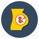 Pregnant Woman Pregnant Lady Motherhood Icon
