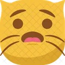 Emoticono De Gato Icono