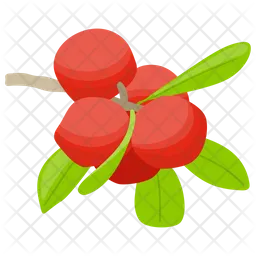 Preiselbeere  Symbol