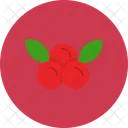 Preiselbeeren Obst Beeren Icon