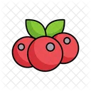 Preiselbeeren  Symbol