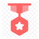 Militar Premio Recompensa Icon