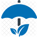 Premium Policy Insurance Policy Icon