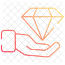 Premium service  Icon