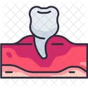 Odontologia Dentista Dentista Icono