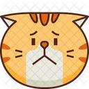 Preocupacion Emoticon Gato Icono