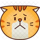 Preocupacion Emoticon Gato Icono