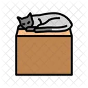 Preposición  Icono