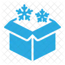 Present Gift Box Surprise Icon