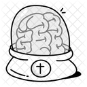 Preserved Brain Mind Organ Icon