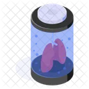 Lungs Container Research Icon