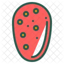Prickly Pear Fruit Icon