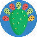 Exotic Fruits Prickly Pear Pear Icon