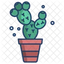 Prickly Pear Cactus Cactus Pot Cactus Plant Icon