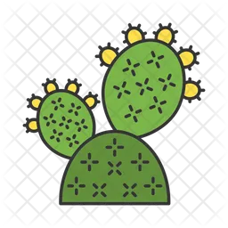 Prickly Pear Cactus  Icon