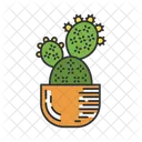 Prickly Pear Cactus  Icon