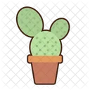 Prickly Pear Cactus Cactus Nature Icon
