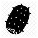 Prickly Pear  Icon