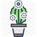 Prickly Pearprickly Pearcactus Desert Icon