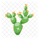 Prickly Plant  Icon