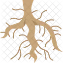 Primary Root Plant Icon