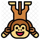 Primate Monkey  Icon