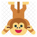 Primate Monkey  Icon