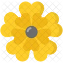 Primrose Icon