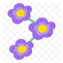 앵초 꽃  아이콘