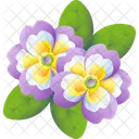 Primrose Flower Floral Icon