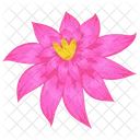 Primrose Willow Wingleaf Primrose Flower Icon