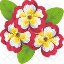 Primula Flor Floral Icono