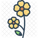 Primula Primula Polyanthus Icono