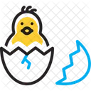 Principiante  Icono