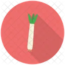 Printemps Oignon Legume Icon