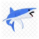 Prionace Glauca Blue Shark Shark Fish Icône